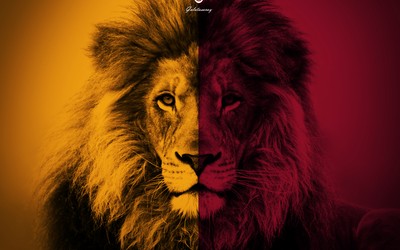 雷速电竞精华-凯恩赛后和主帅拥抱